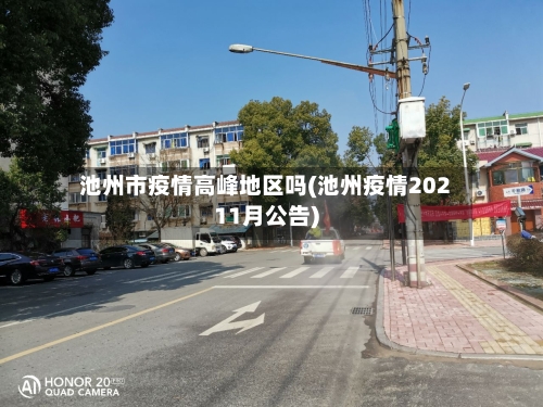 池州市疫情高峰地区吗(池州疫情20211月公告)-第2张图片