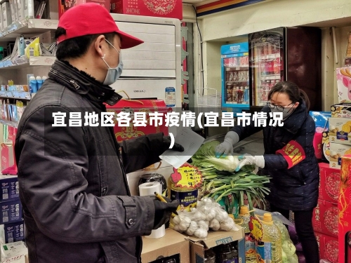 宜昌地区各县市疫情(宜昌市情况)-第2张图片