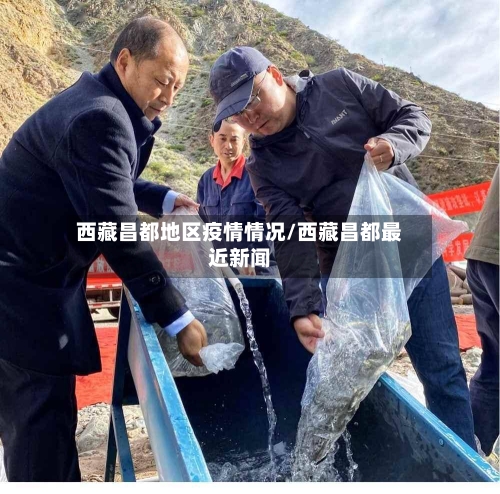 西藏昌都地区疫情情况/西藏昌都最近新闻-第2张图片