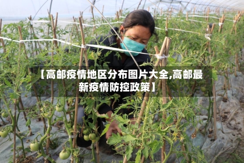【高邮疫情地区分布图片大全,高邮最新疫情防控政策】