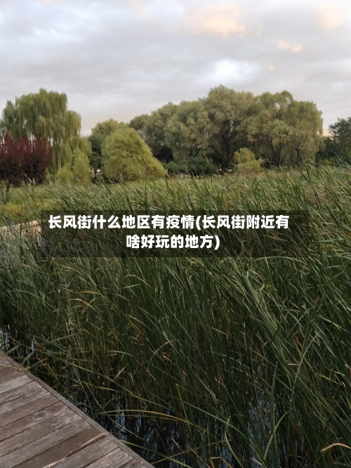 长风街什么地区有疫情(长风街附近有啥好玩的地方)