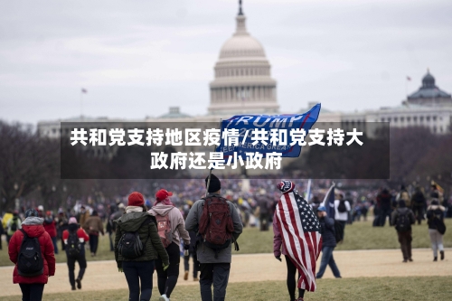 共和党支持地区疫情/共和党支持大政府还是小政府-第2张图片