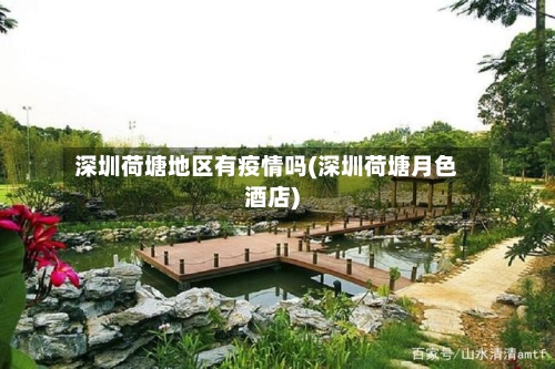 深圳荷塘地区有疫情吗(深圳荷塘月色酒店)-第2张图片