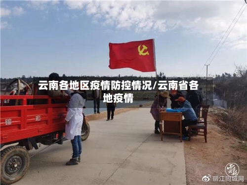 云南各地区疫情防控情况/云南省各地疫情-第3张图片