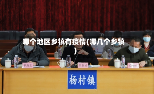 哪个地区乡镇有疫情(哪几个乡镇)-第2张图片