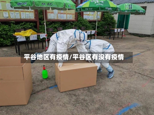 平谷地区有疫情/平谷区有没有疫情