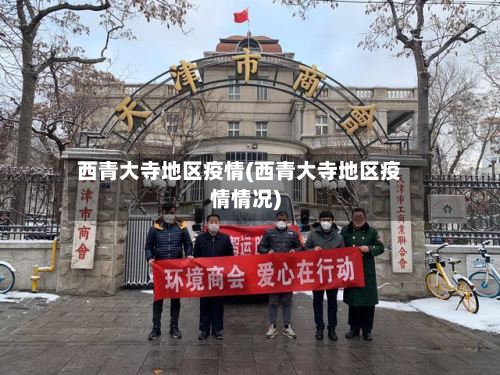西青大寺地区疫情(西青大寺地区疫情情况)-第2张图片
