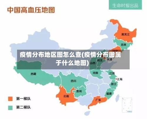 疫情分布地区图怎么查(疫情分布图属于什么地图)