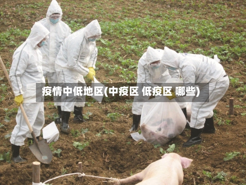 疫情中低地区(中疫区 低疫区 哪些)-第3张图片
