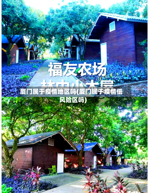 厦门属于疫情地区吗(厦门属于疫情低风险区吗)