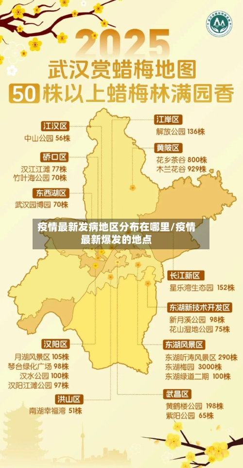 疫情最新发病地区分布在哪里/疫情最新爆发的地点-第2张图片