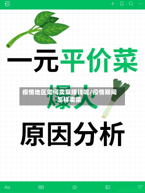 疫情地区如何卖菜赚钱呢/疫情期间怎样卖菜-第3张图片