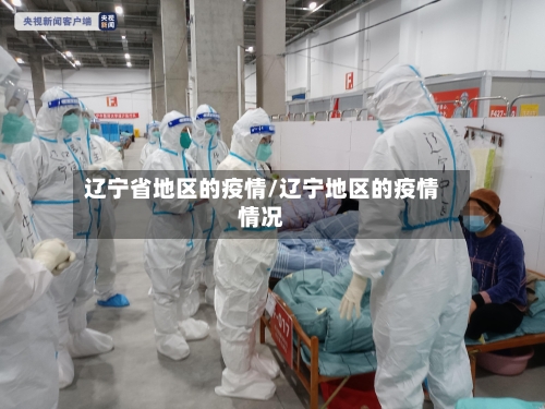 辽宁省地区的疫情/辽宁地区的疫情情况-第2张图片