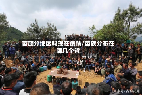 苗族分地区吗现在疫情/苗族分布在哪几个省