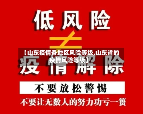 【山东疫情各地区风险等级,山东省的疫情风险等级】