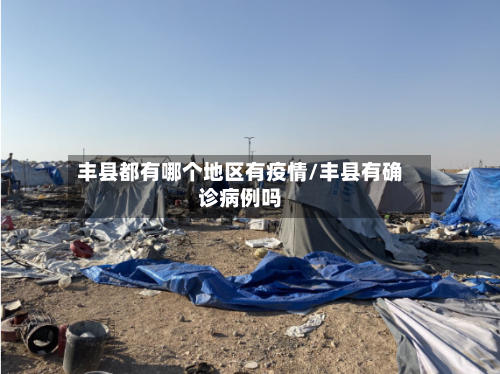 丰县都有哪个地区有疫情/丰县有确诊病例吗-第3张图片