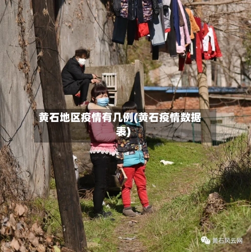 黄石地区疫情有几例(黄石疫情数据表)-第2张图片