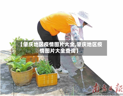 【肇庆地区疫情图片大全,肇庆地区疫情图片大全查询】