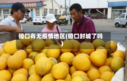 磴口有无疫情地区(磴口封城了吗)